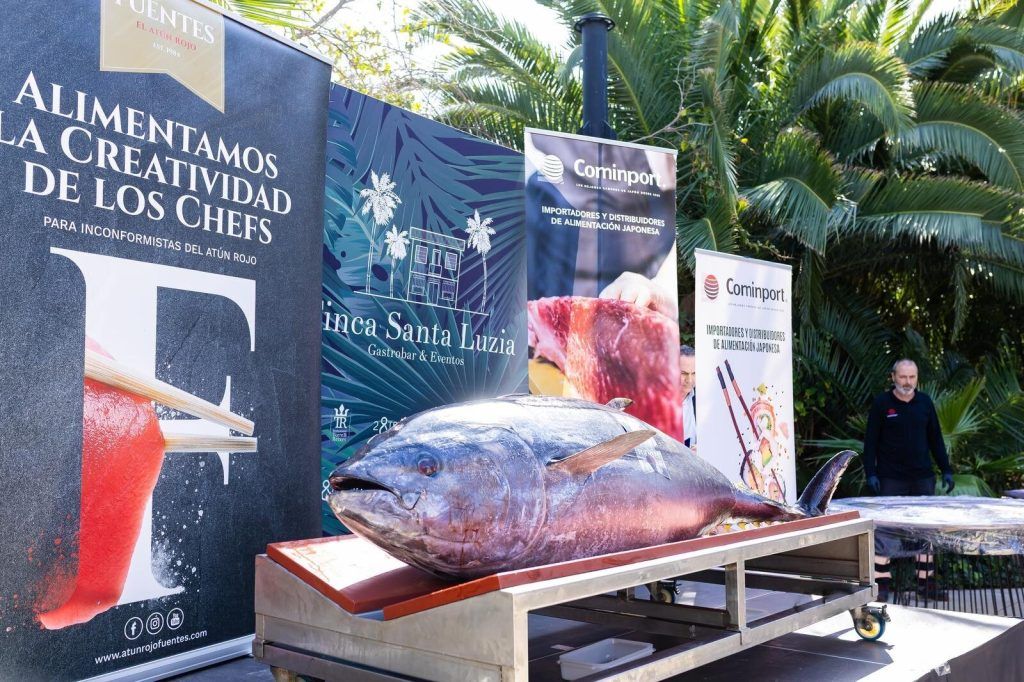 Ronqueo del Atún: Un Espectáculo Gastronómico Inolvidable en Finca Santa Luzia