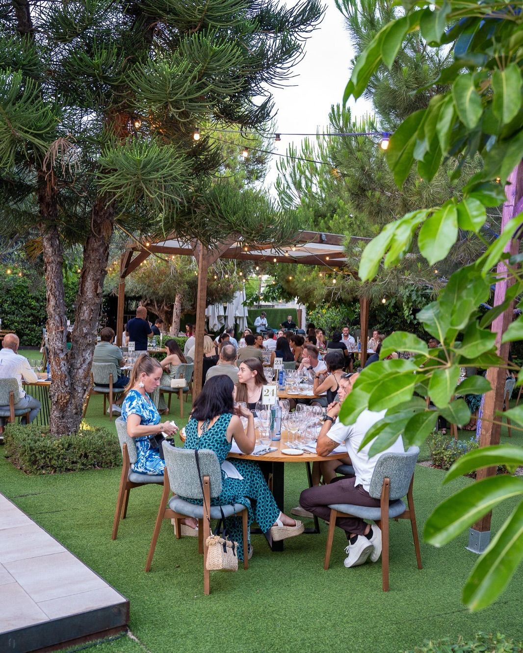 degustación gourmet al aire libre